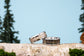 The Northern Pike - Men's Fishing Ring