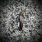 The Guitarist - Women's Guitar String Ring