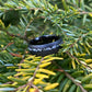 Men's wedding ring made out of sand blasted tungsten with an offset of meteorite