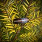 Birds eye view of a whiskey barrel men's tungsten ring