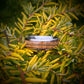 Guitar String and Whiskey Barrel Tungsten Wedding Ring