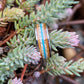Whiskey Barrel Ring with Antler and Turquoise